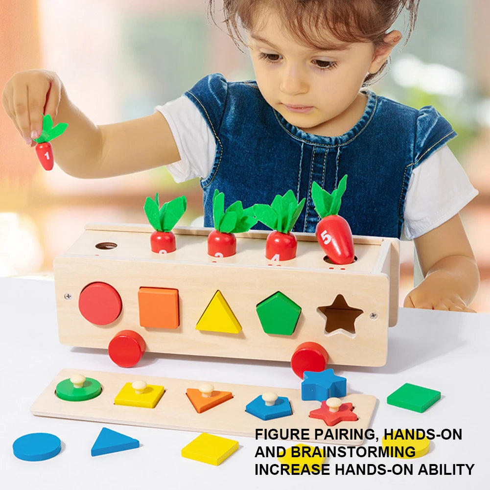 Wooden Stacking Matching Toys